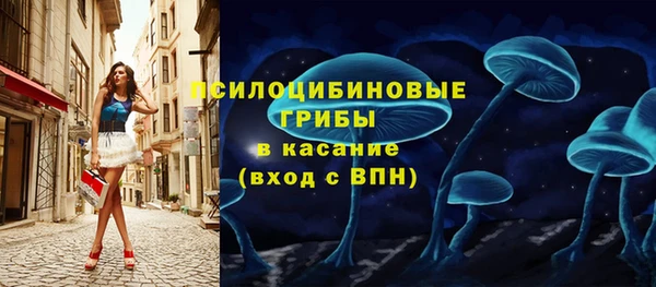 твердый Алексин